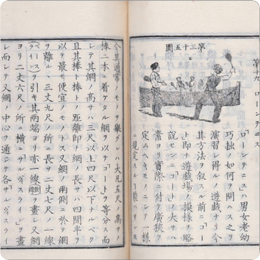 体育